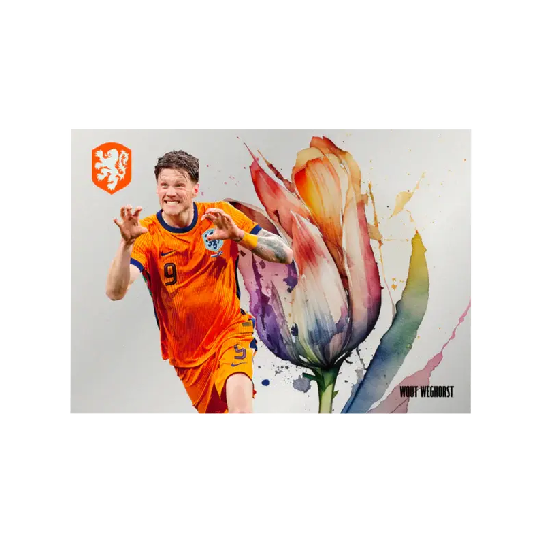 DAKA Netherlands 2024 Premium Hobby Box