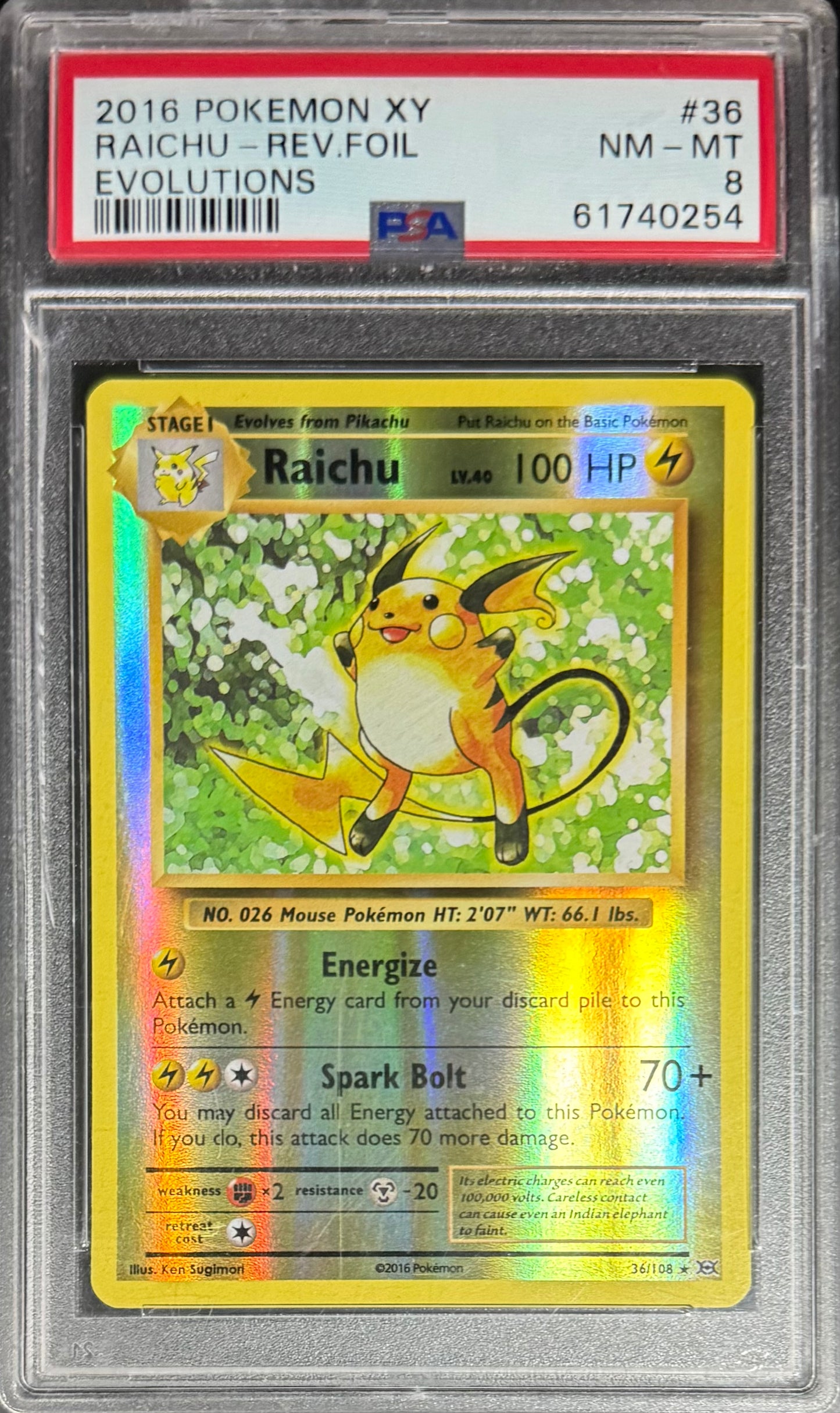 Pokemon Raichu 36/108 Rev Foil Pokemon XY Evolutions 2016 PSA8