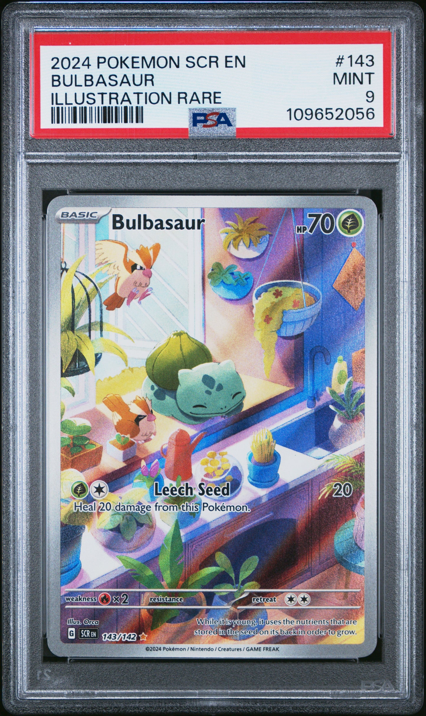 Pokemon Bulbasaur 143/142 Illustration Rare Pokemon Stellar Crown 2024 PSA9