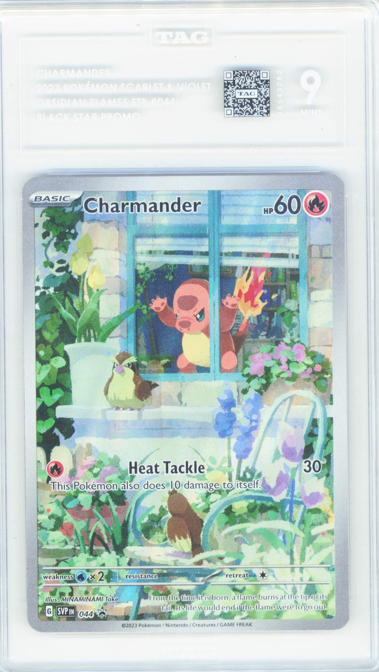 Pokemon Charmander #44 Pokemon Scarlet & Violet Obsidian Flames Black Star Promo 2023 TAG 9
