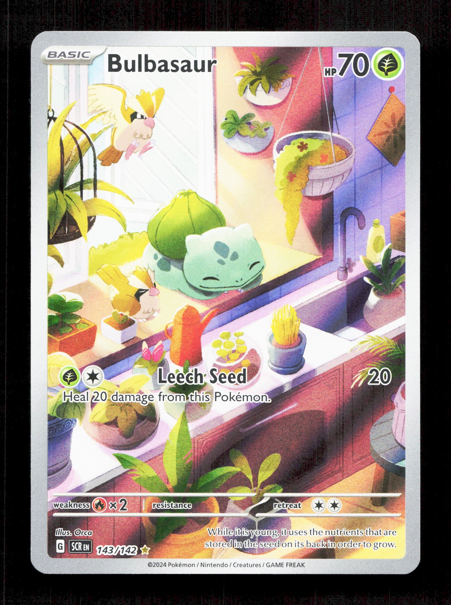 Pokemon Bulbasaur 143/142 Illustration Rare Pokemon Stellar Crown 2024