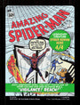 Magic The Gathering Peter Parker/Amazing Spider Man Borderless Foil Magic The Gathering Marvel Spider Man