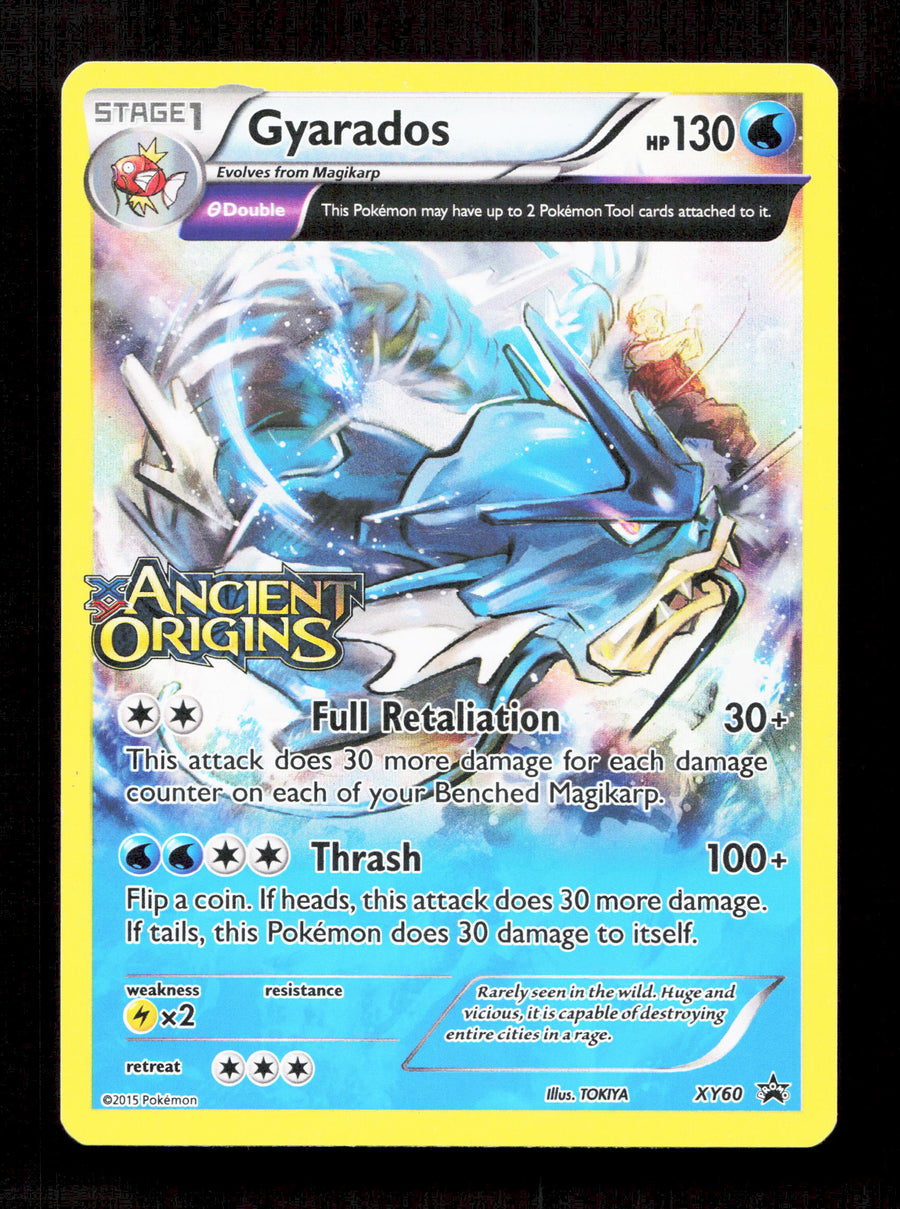 Pokemon Gyarados Holo Stamped XY60 2015 Black Star Promo