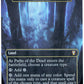 Magic The Gathering Paths Of The Dead Cavern Of Souls M0362 Borderless Foil 2023 Lord Of The Rings Tales Of Middle Earth
