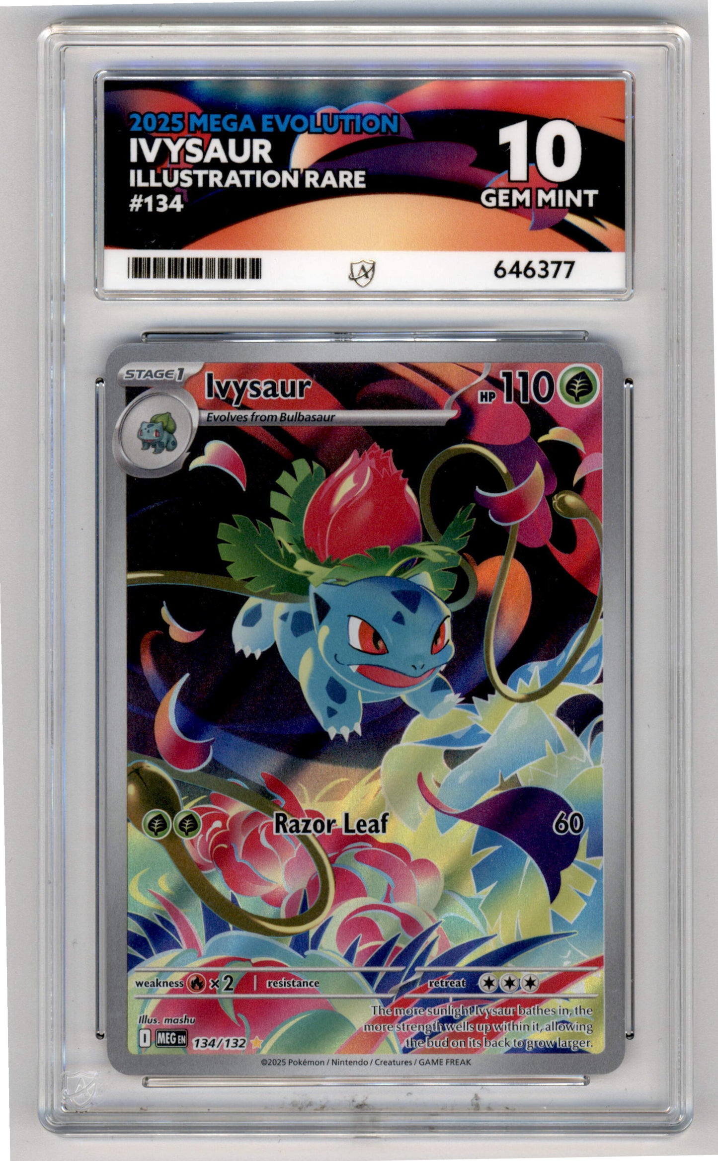 Pokemon Ivysaur 134/132 Illustration Rare 2025 Mega Evolution ACE 10