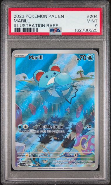 Pokemon Marill 204/193 Illustration Rare 2023 Paldea Evolved PSA 9
