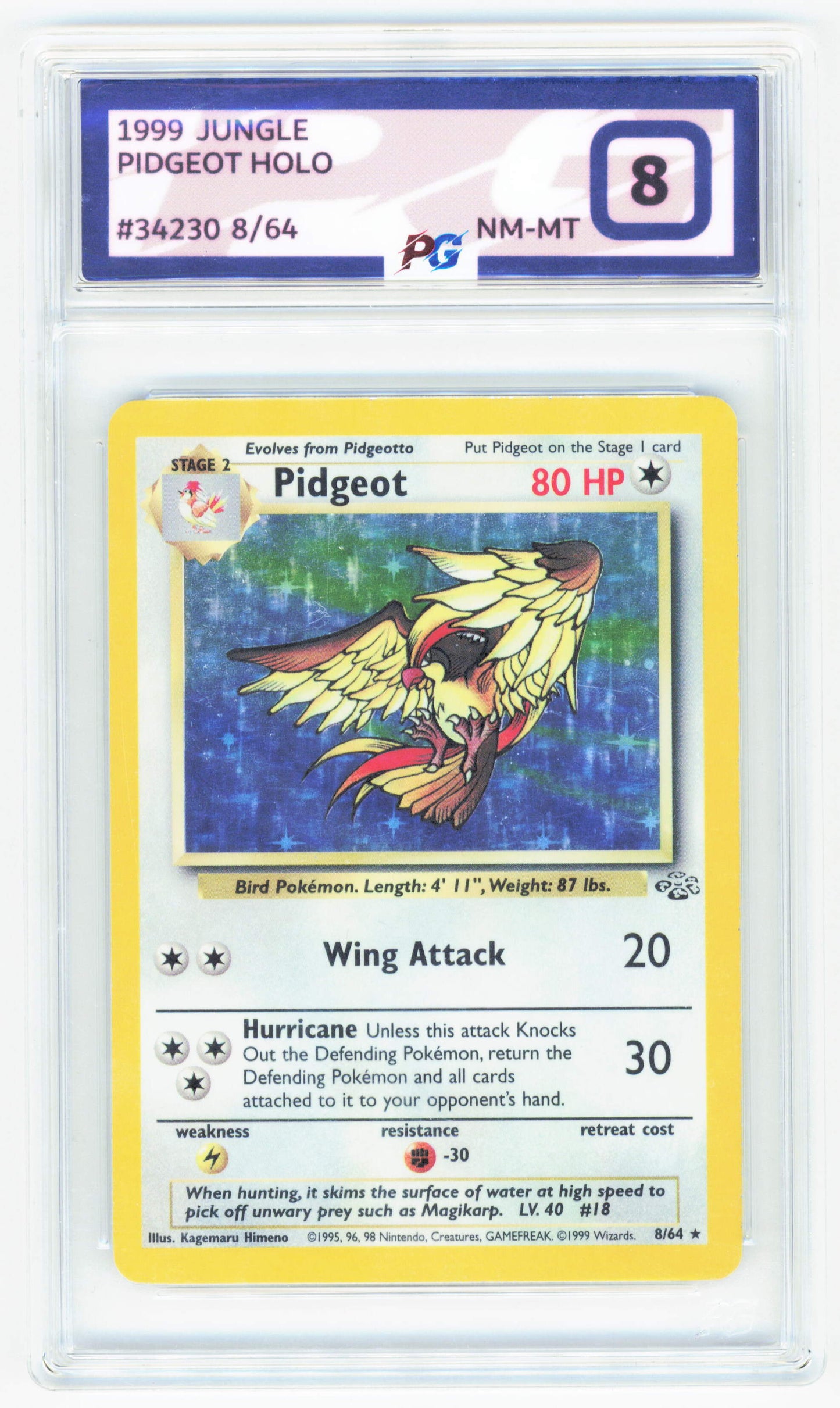 Pokemon Pidgeot 8/64 Holo 1999 Jungle Pokegrade 8