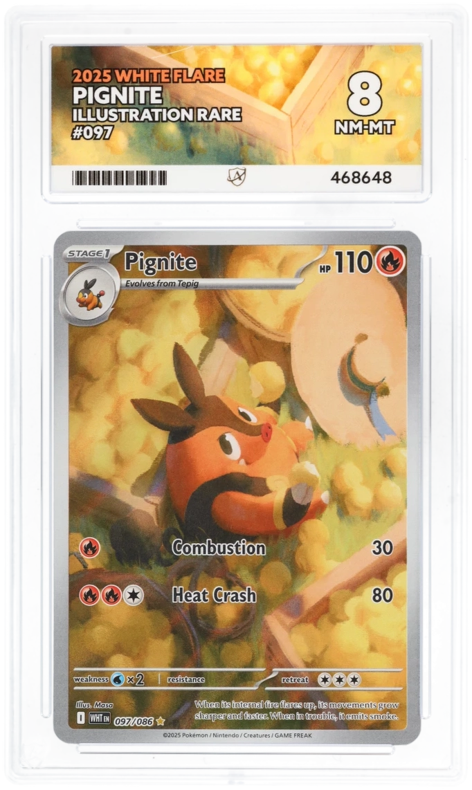 Pokemon Pignite 097/086 Illustration Rare 2025 White Flare ACE 8