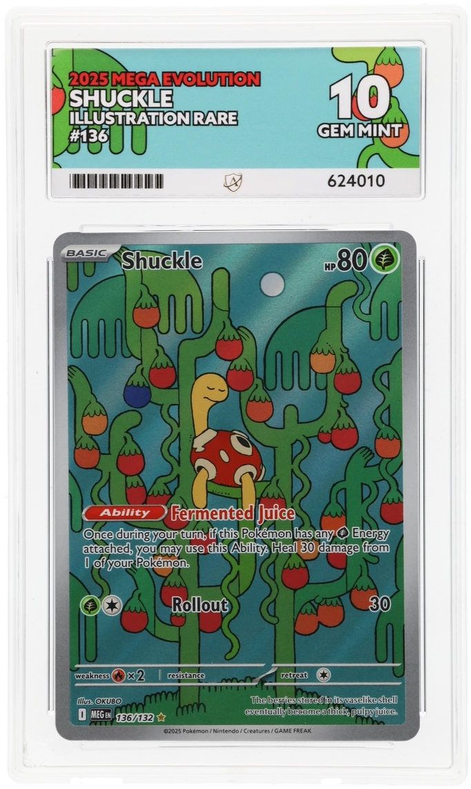 Pokemon Shuckle 136/132 Illustration Rare 2025 Mega Evolution ACE 10