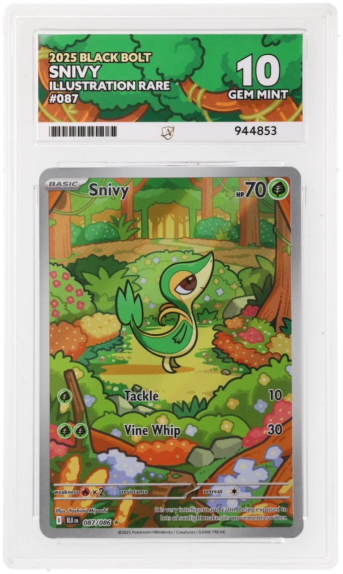 Pokemon Snivy 087/086 Illustration Rare 2025 Black Bolt ACE 10