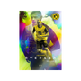 Topps Borussia Dortmund BVB 2024/25 Team Set Box