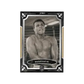DAKA Century Glory Hobby Box