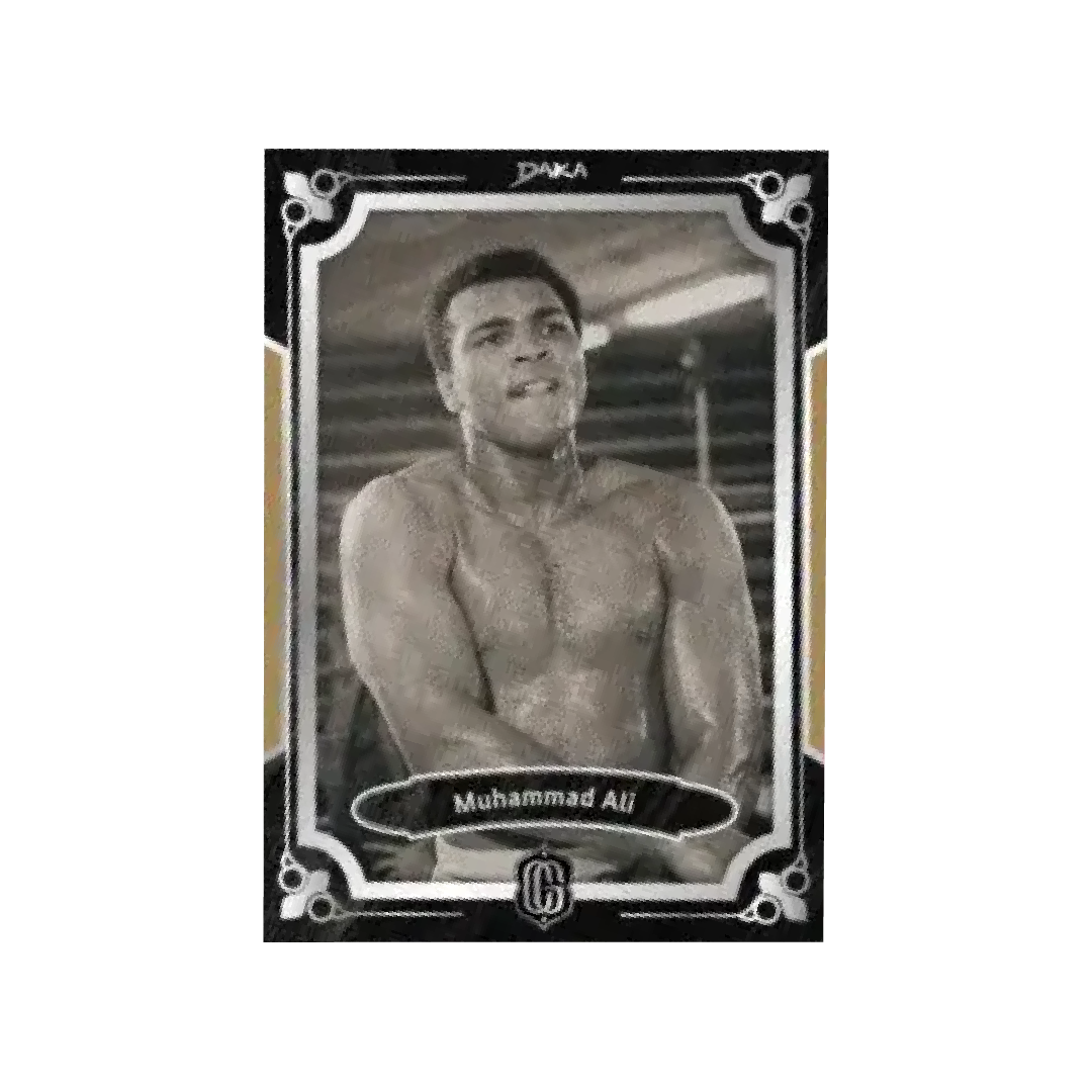 DAKA Century Glory Hobby Box