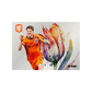DAKA Netherlands 2024 Premium Hobby Box