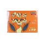 Pokémon TCG: Eevee Flareon Premium Gift Box – Simplified Chinese