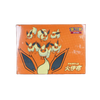 Pokémon TCG: Eevee Flareon Premium Gift Box – Simplified Chinese