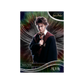 Kakawow Harry Potter Aura 2026 Hobby Box