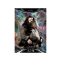 Kakawow Harry Potter Aura 2026 Hobby Box
