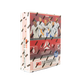 Panini Luminance England 2026 Football Hobby Box