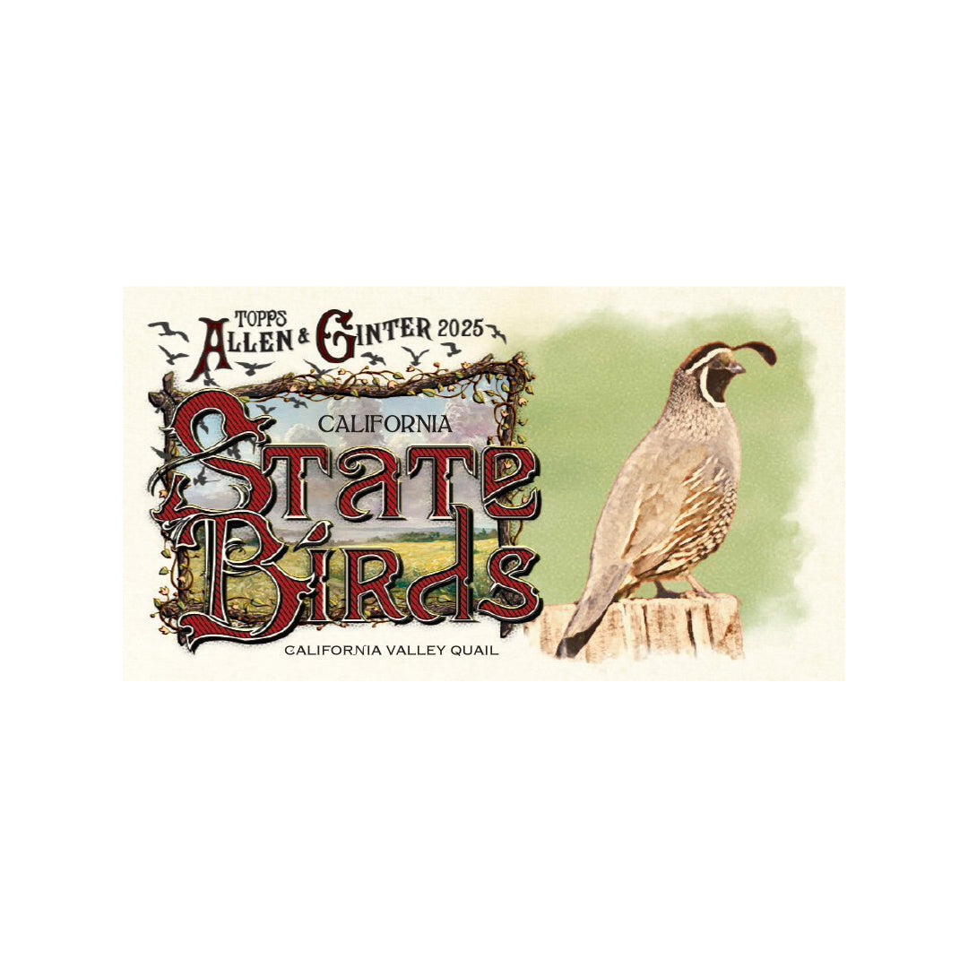 Topps Allen & Ginter Baseball 2025 Hobby Box - Pre Order