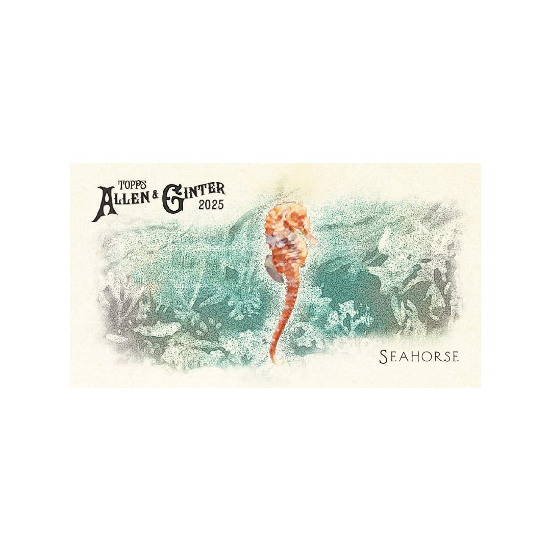 Topps Allen & Ginter Baseball 2025 Blaster Box - Pre Order