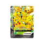 Pokemon V-Union Pikachu Gift Box Simplified Chinese