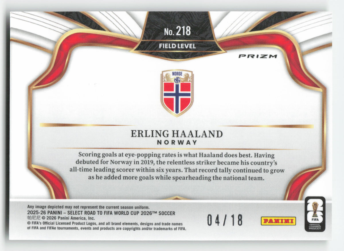 2026 haaland Panini select world cup #218 · image 2 · SCD_GOOGLE_DRIVE:1LLUQzEqFQulzJObfWm-c1GvXvPHTuH7z