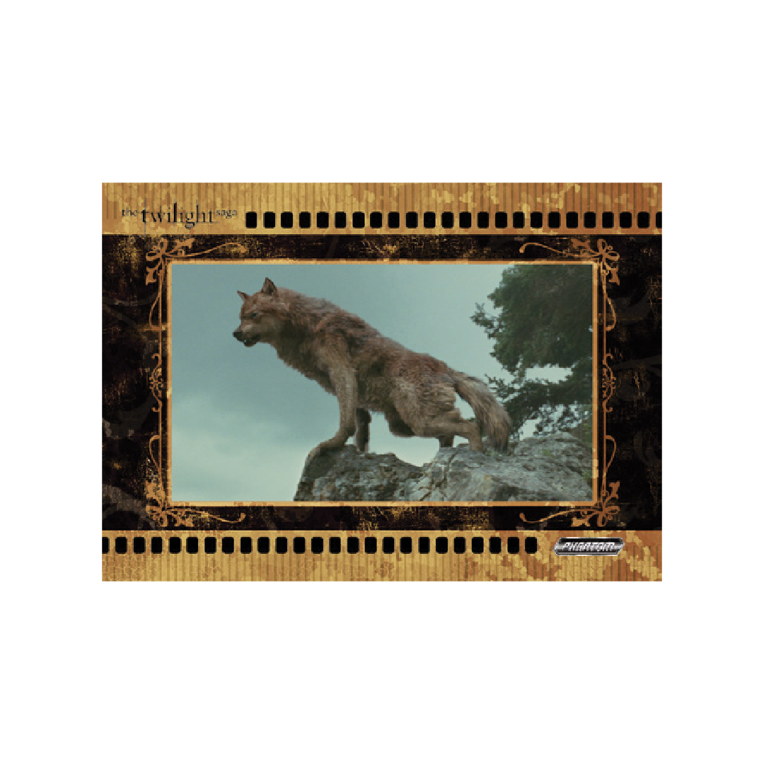 Kakawow Phantom The Twilight Saga 2026 Hobby Box