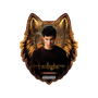 Kakawow Phantom The Twilight Saga 2026 Hobby Box