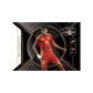 Panini Noir Road to FIFA World Cup 2025/26 Hobby International Box