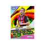 Panini Prizm FIFA Soccer 2025-26 Choice Box