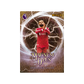 Topps Merlin Premier League 2026 Hobby Box - Pre-Order